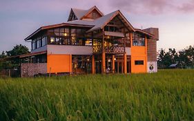 Guerrera Rice Paddy Villas